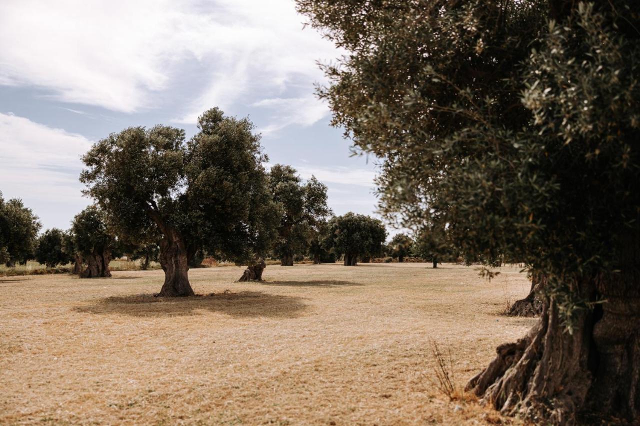 Masseria Garrappa Fasano Exteriér fotografie