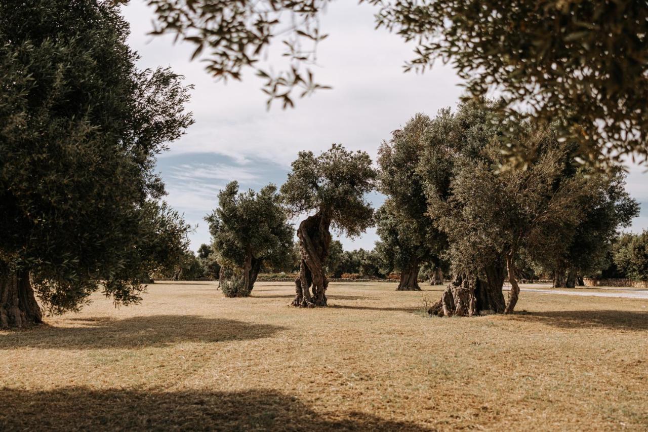Masseria Garrappa Fasano Exteriér fotografie