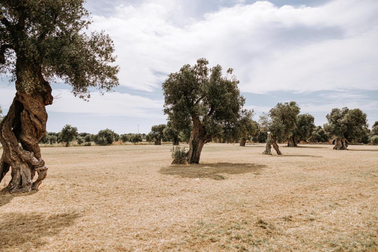 Masseria Garrappa Fasano Exteriér fotografie