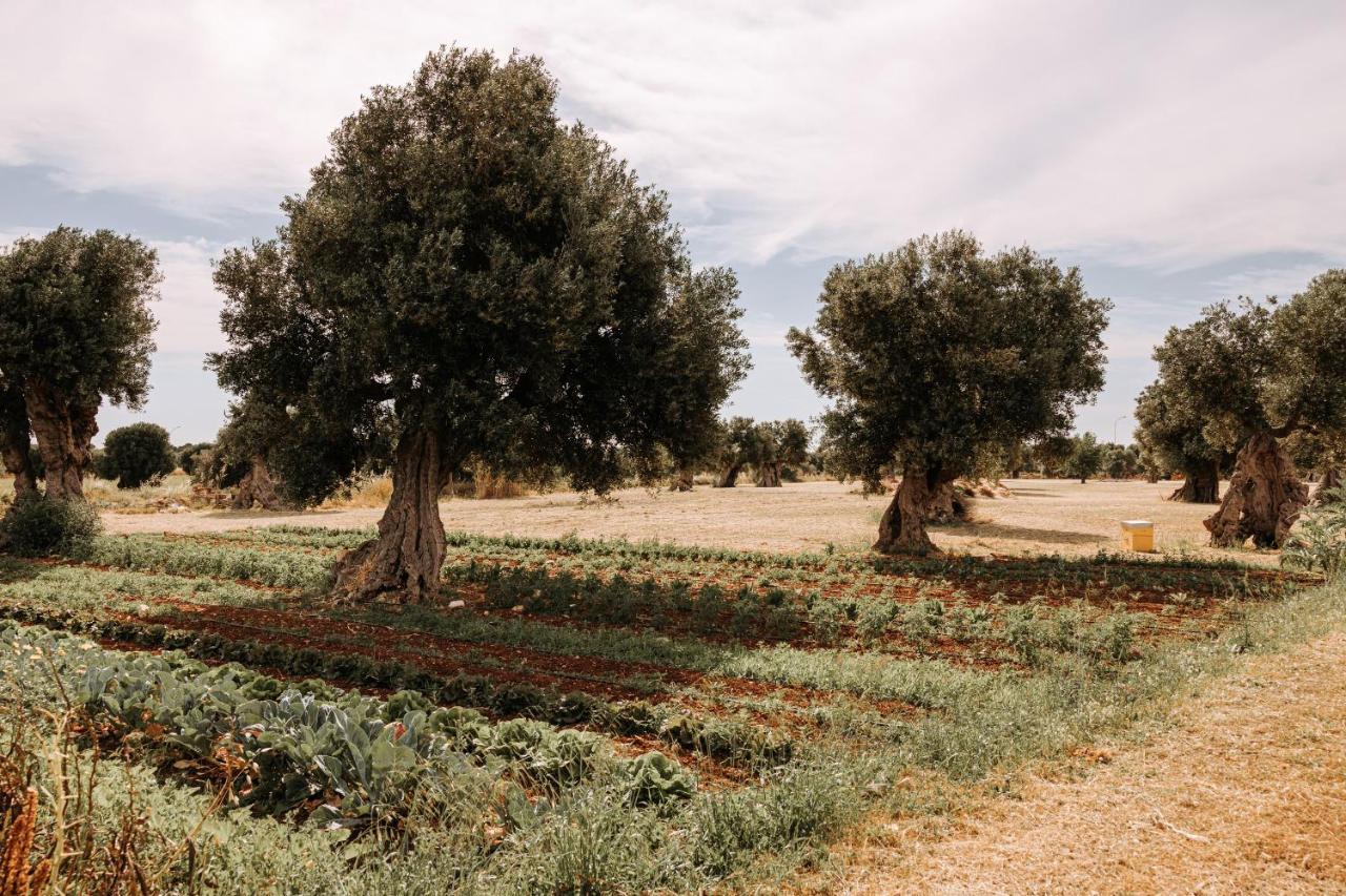 Masseria Garrappa Fasano Exteriér fotografie
