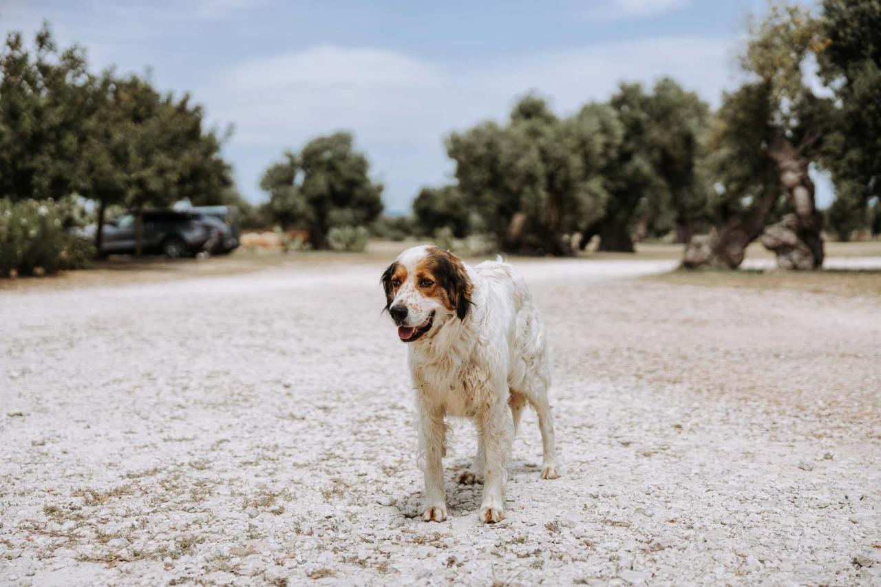 Masseria Garrappa Fasano Exteriér fotografie